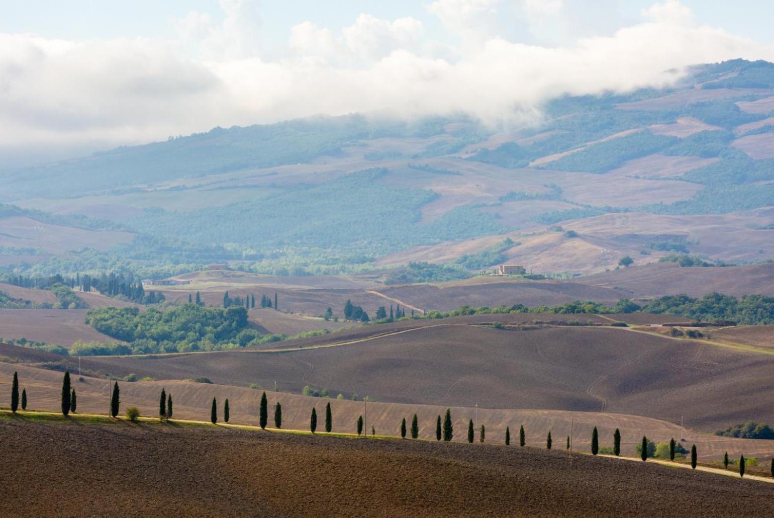 Villa Podere Belvedere Siena Zewnętrze zdjęcie
